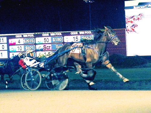 Leonidas 11/15/20