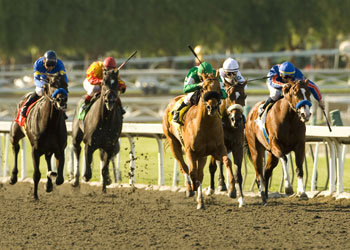Robert Lewis Stakes