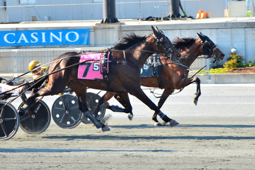 LG's Reed O Wen 6-15-22