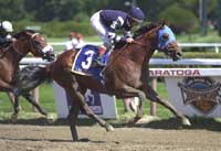 The Beyer horse of the year?
