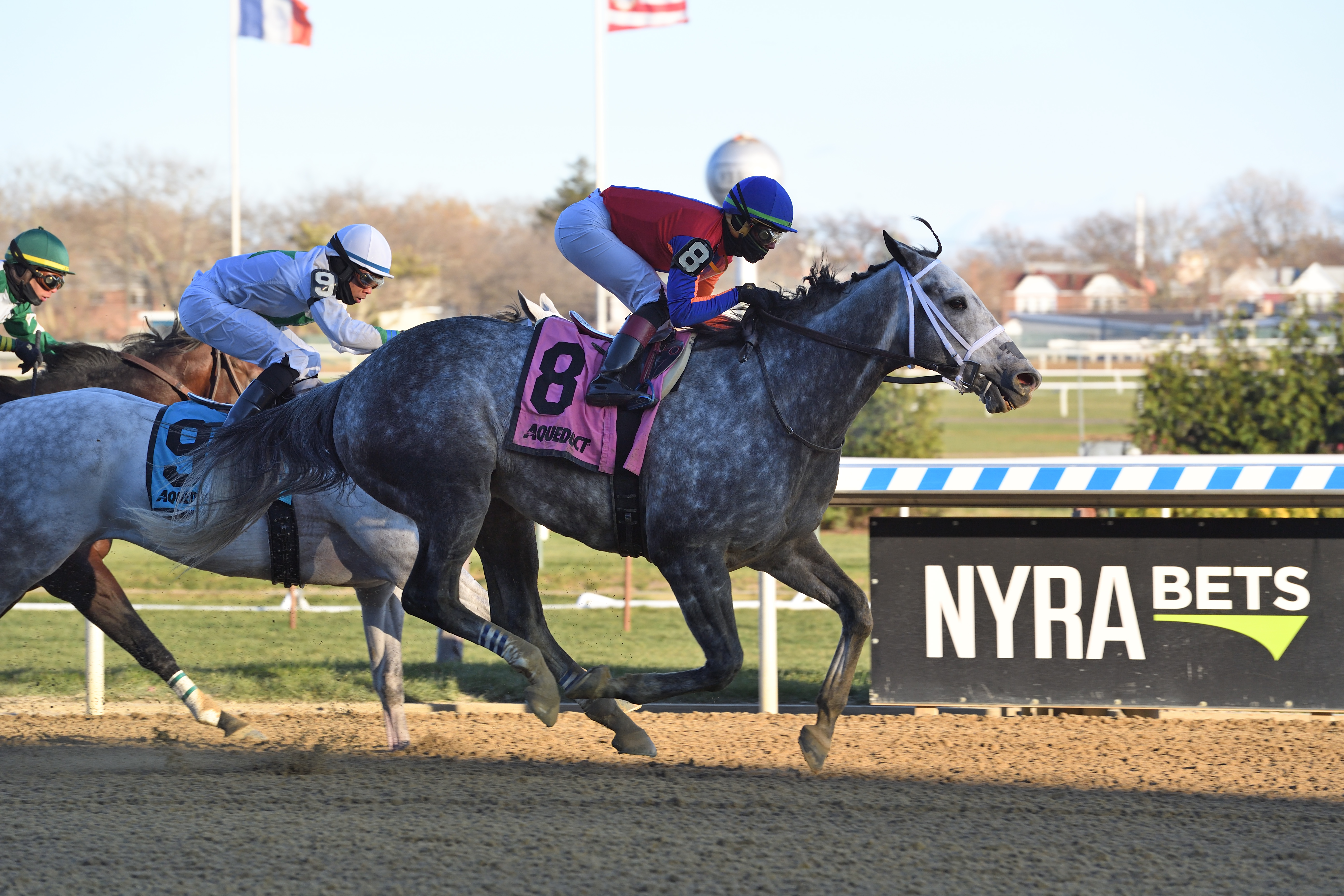 Life in Shambles wins the 2018 Fall Highweight Handicap