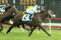 Lismore Knight
