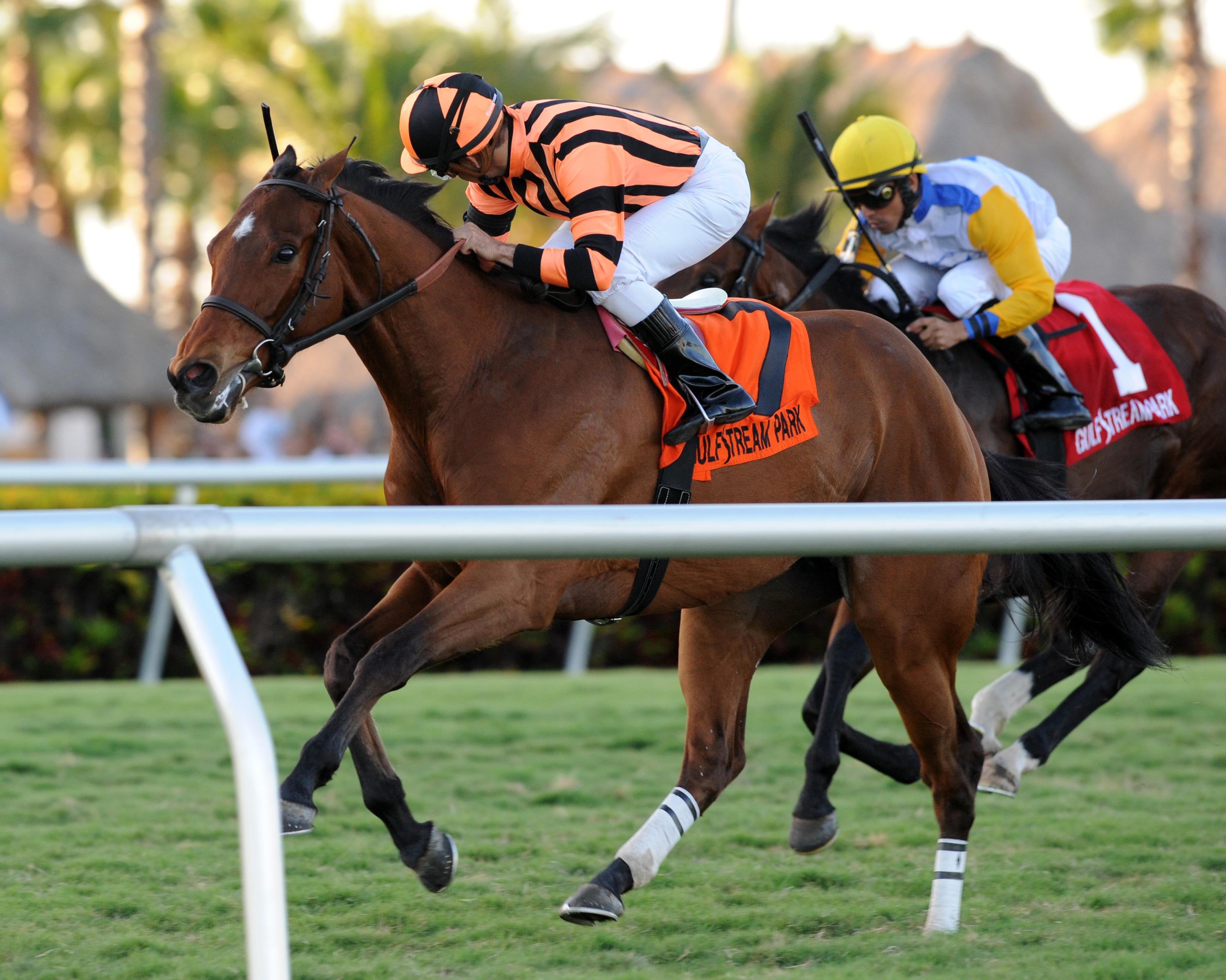 Little Mike wins Canadian Turf