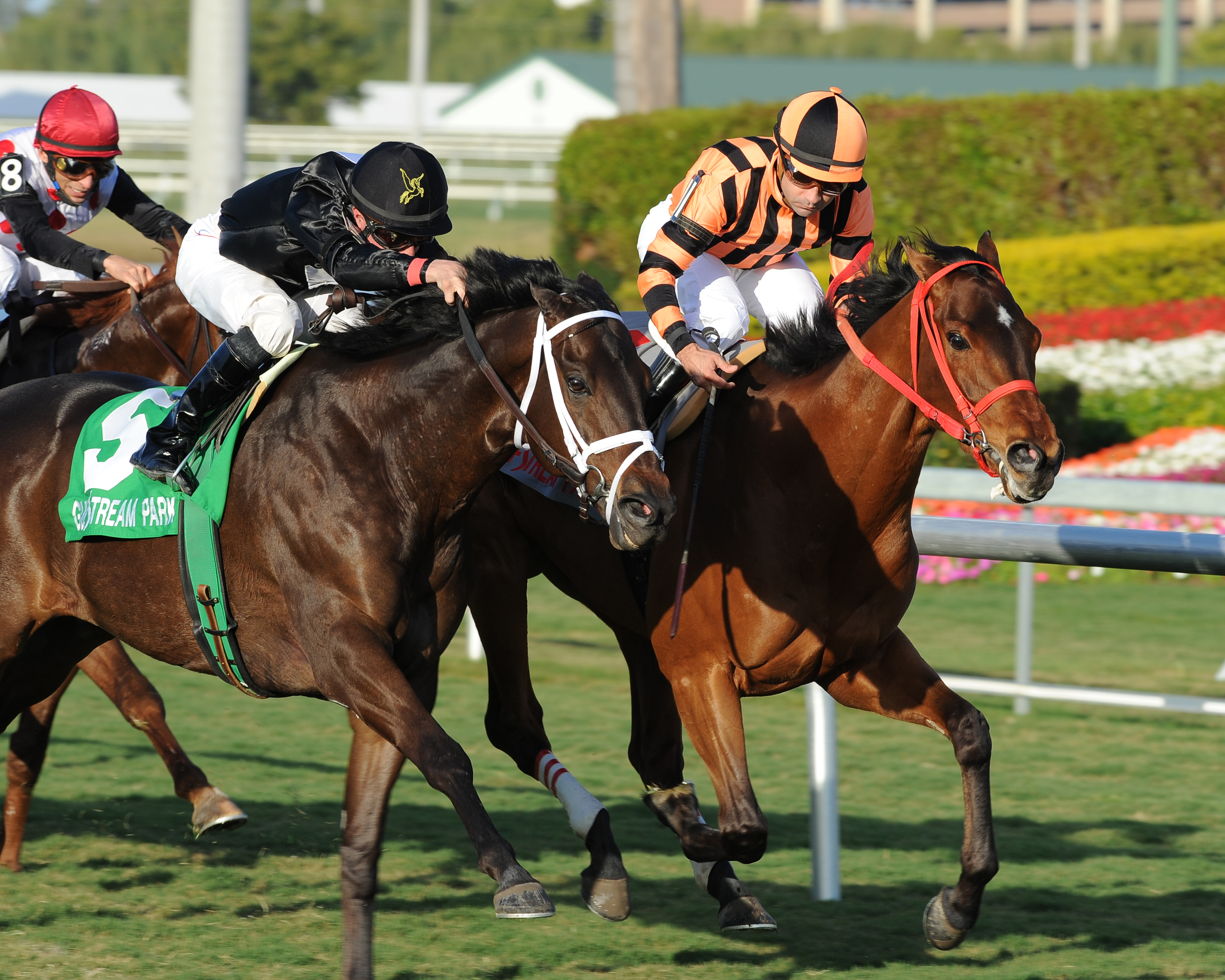 Little Mike wins Fort Lauderdale