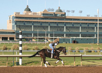 Lone Star Park