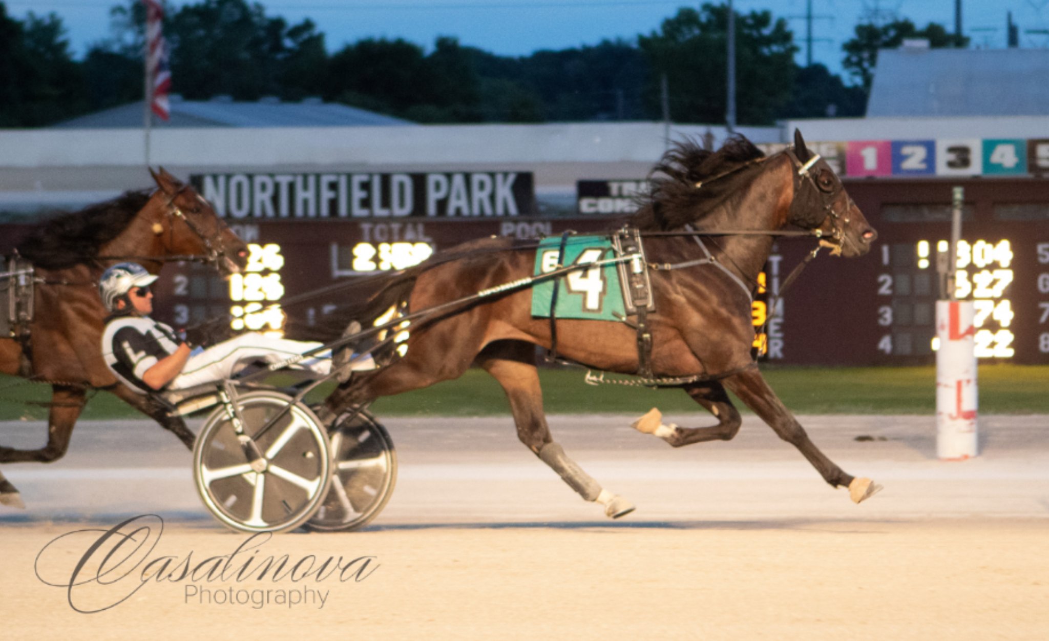 Longshot 8-13-22
