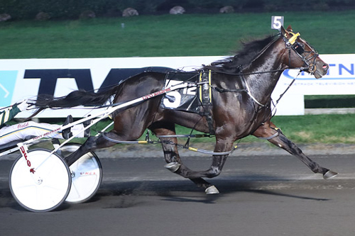 Loubet 11-11-22