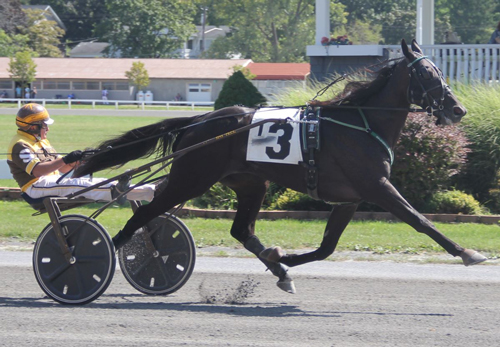 Loyal Fox Hanover 9/6/20