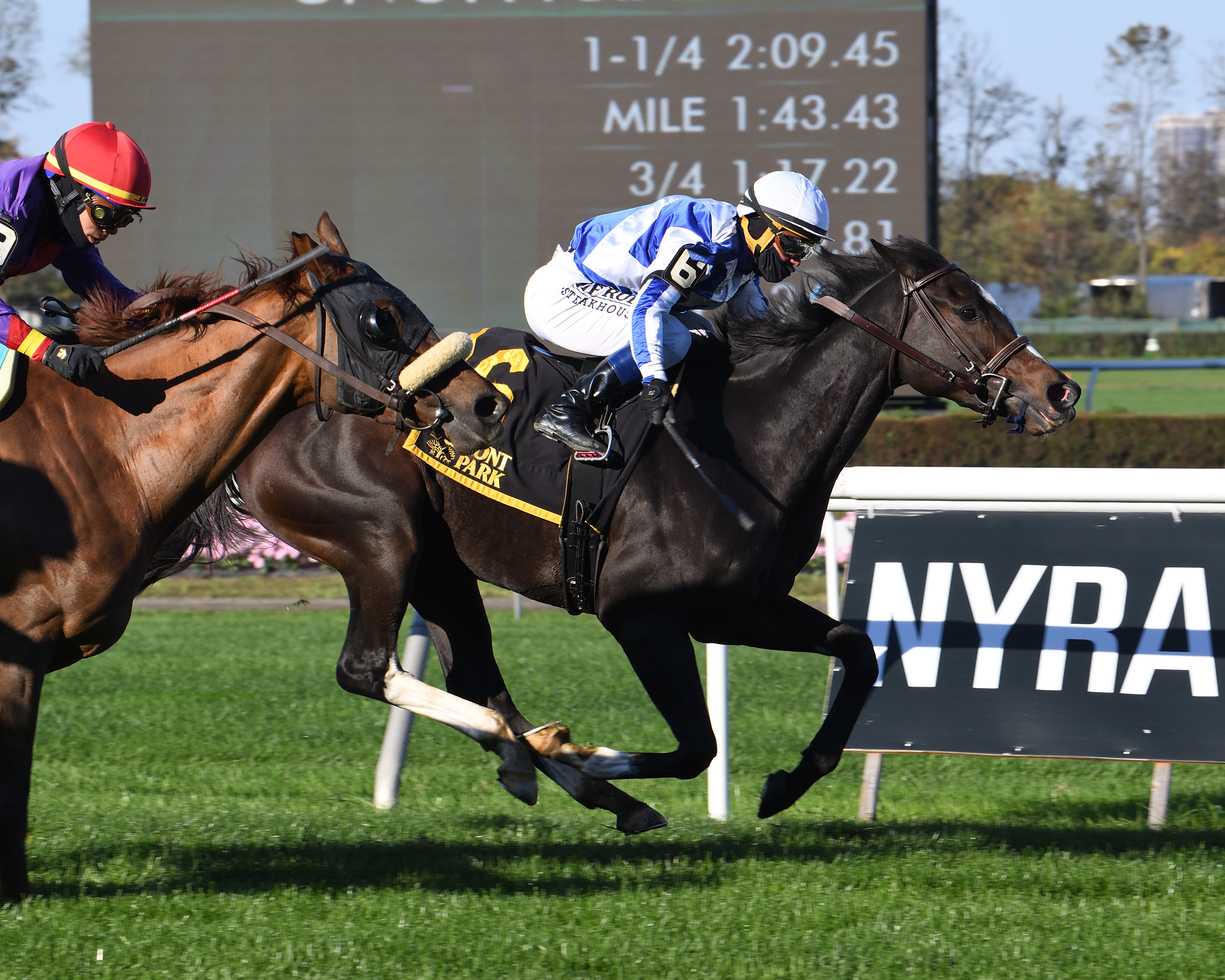 Luck Money wins the Zagora 10-31-2020