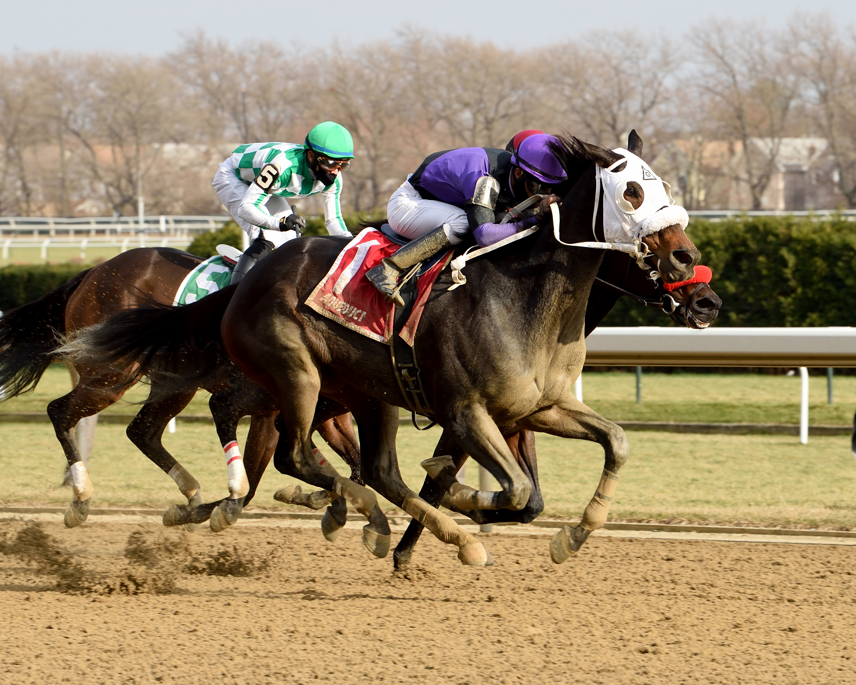 Lucky Move wins the Bay Ridge 12-13-2020