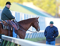 D. Wayne Lukas