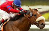 Lundy's Liability