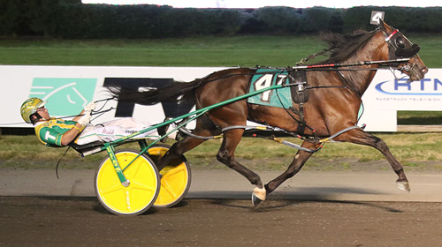 Mad Max Hanover 7-30-22