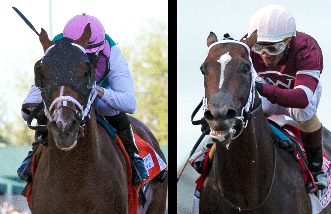 Mandaloun (left) and Midnight Bourbon (right) collage