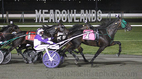 Maestro Blue Chip 5/21/16