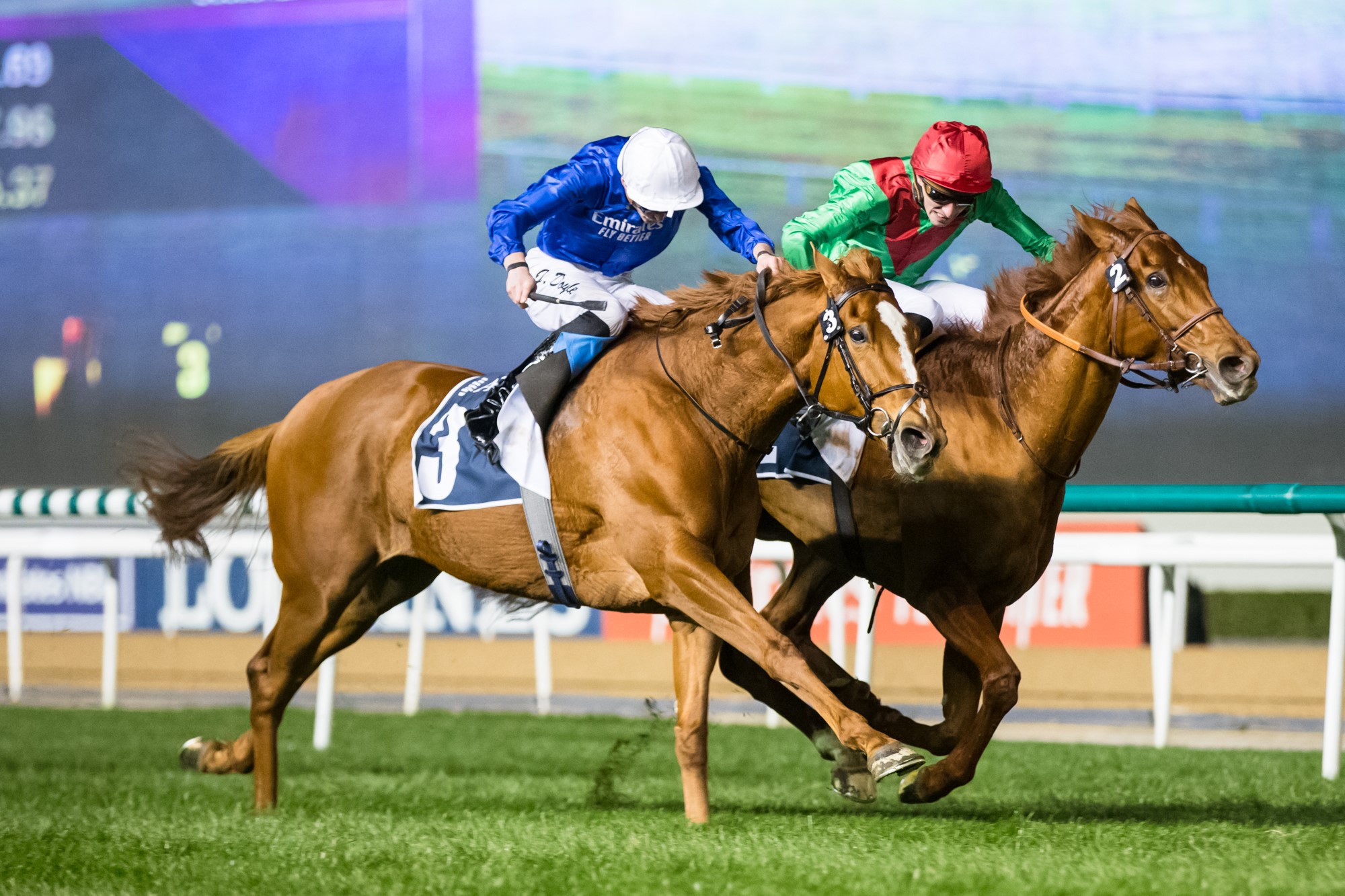 Magic Lily - left- wins the 2020 Cape Verdi Stakes