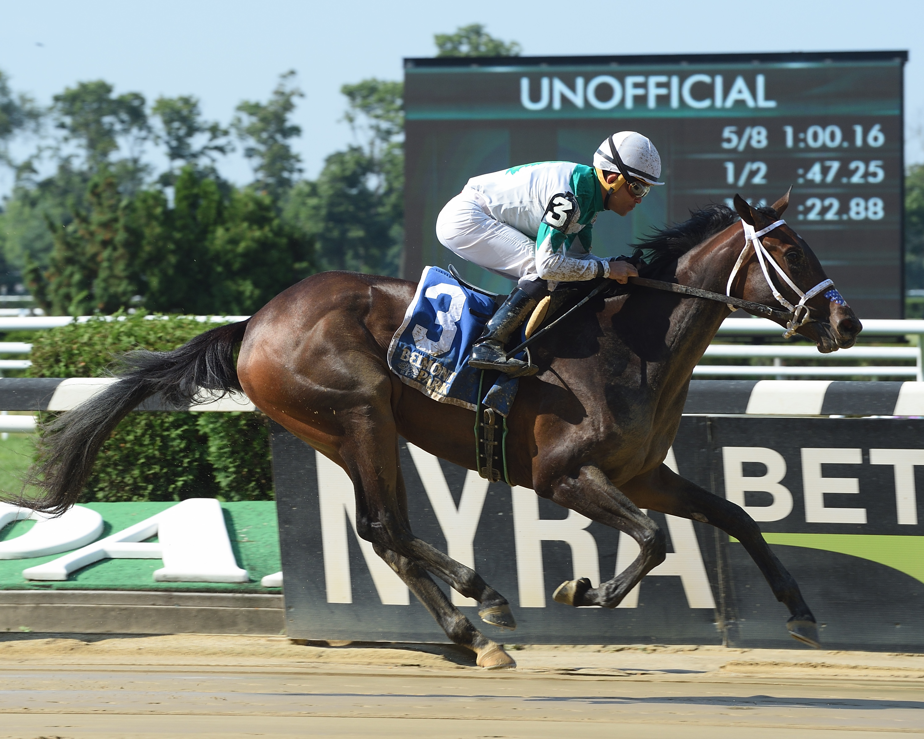 Maiden Beauty wins 2018 Lynbrook