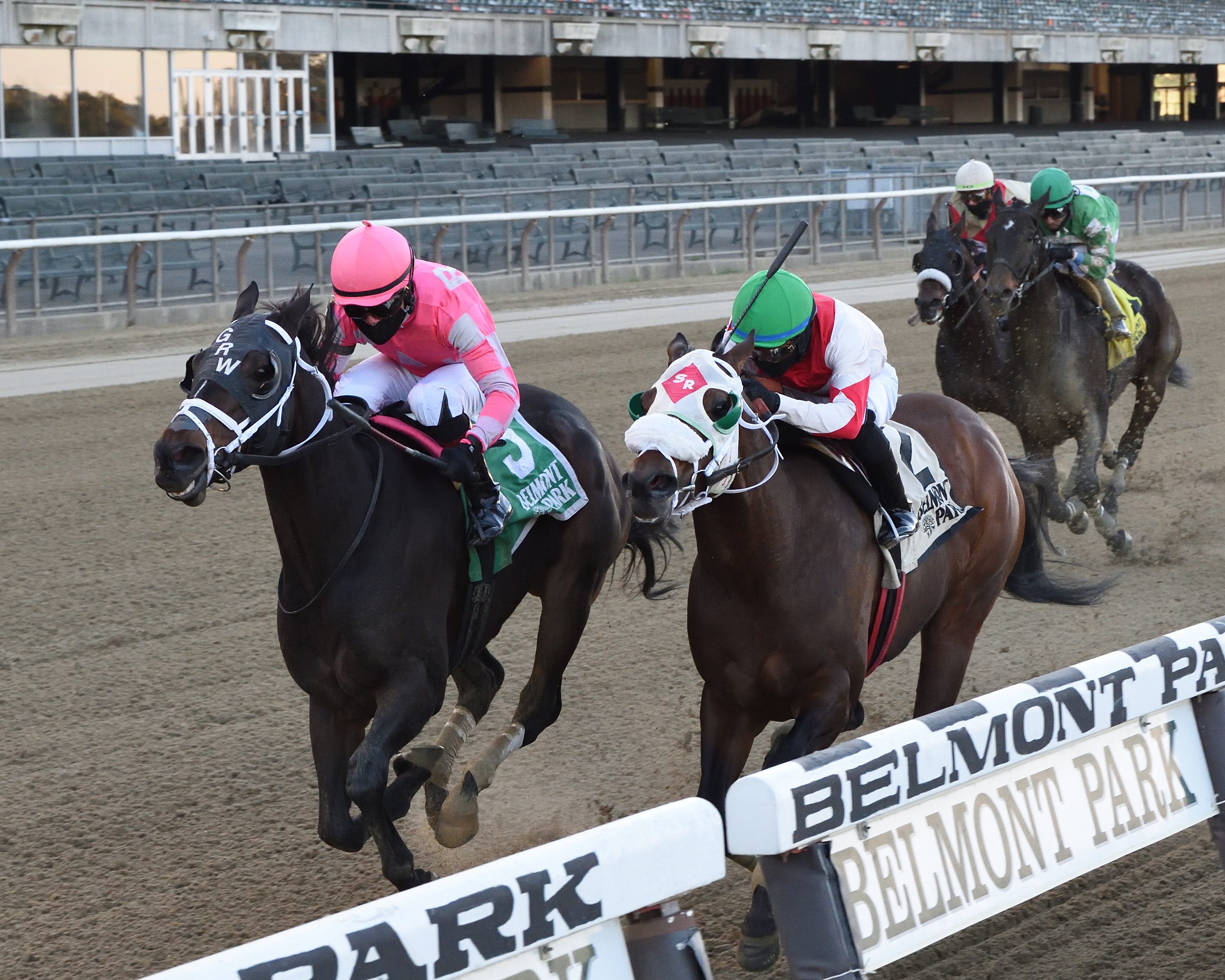 Majestic Dunhill wins Bold Ruler 10-31-2020