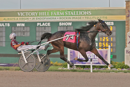 Mallard Hanover 5-21-21