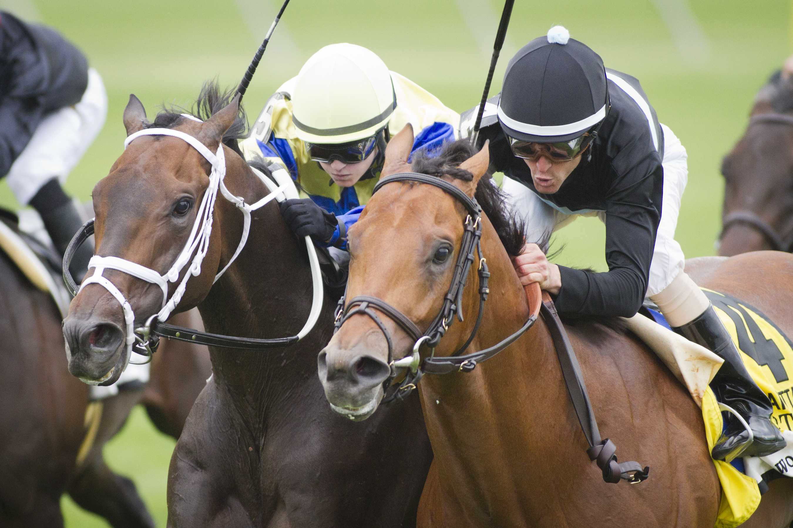 Desert Blanc/Manhattan Handicap