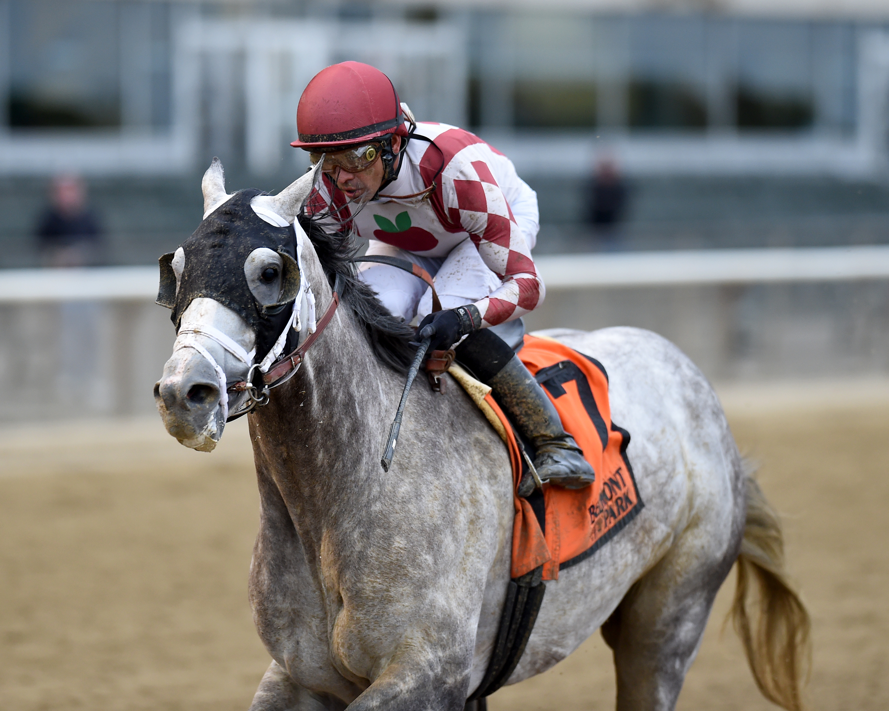 Marconi wins the 2019 Flat Out Stakes