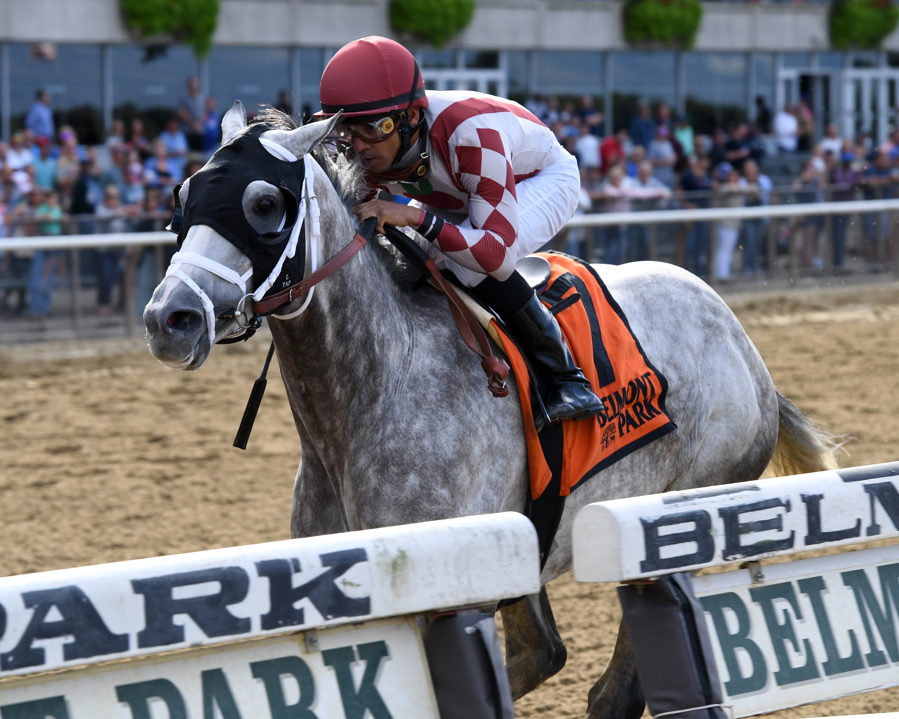 Marconi wins the 2019 Grand Prix American Jockey Club Invitational