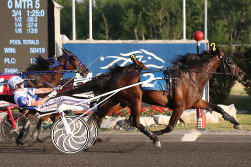 Marion Marauder 6/18/16