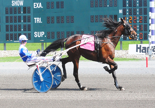 Marion Marauder 5/20/18