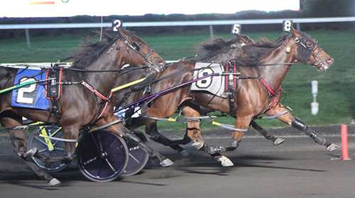 Marloe Hanover 11/2/19