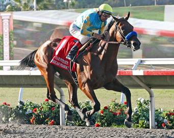 American Pharoah Beyer marquee