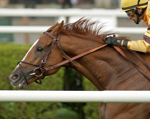 Wise Dan/marquee