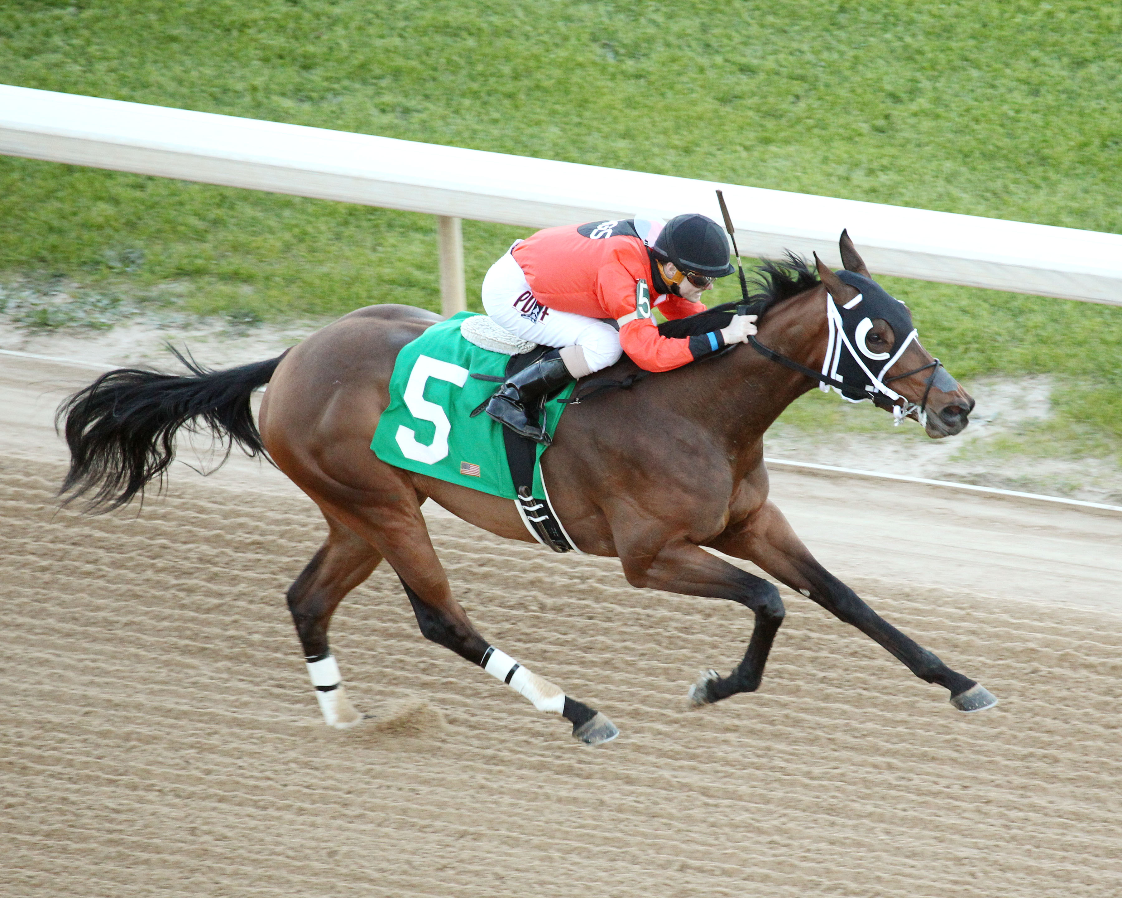 marquee miss dixie belle