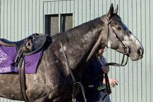 Mastercraftsman