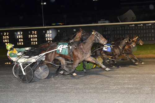 Matron 3yo male pace 11/15/18