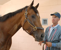 Barbaro & Matz