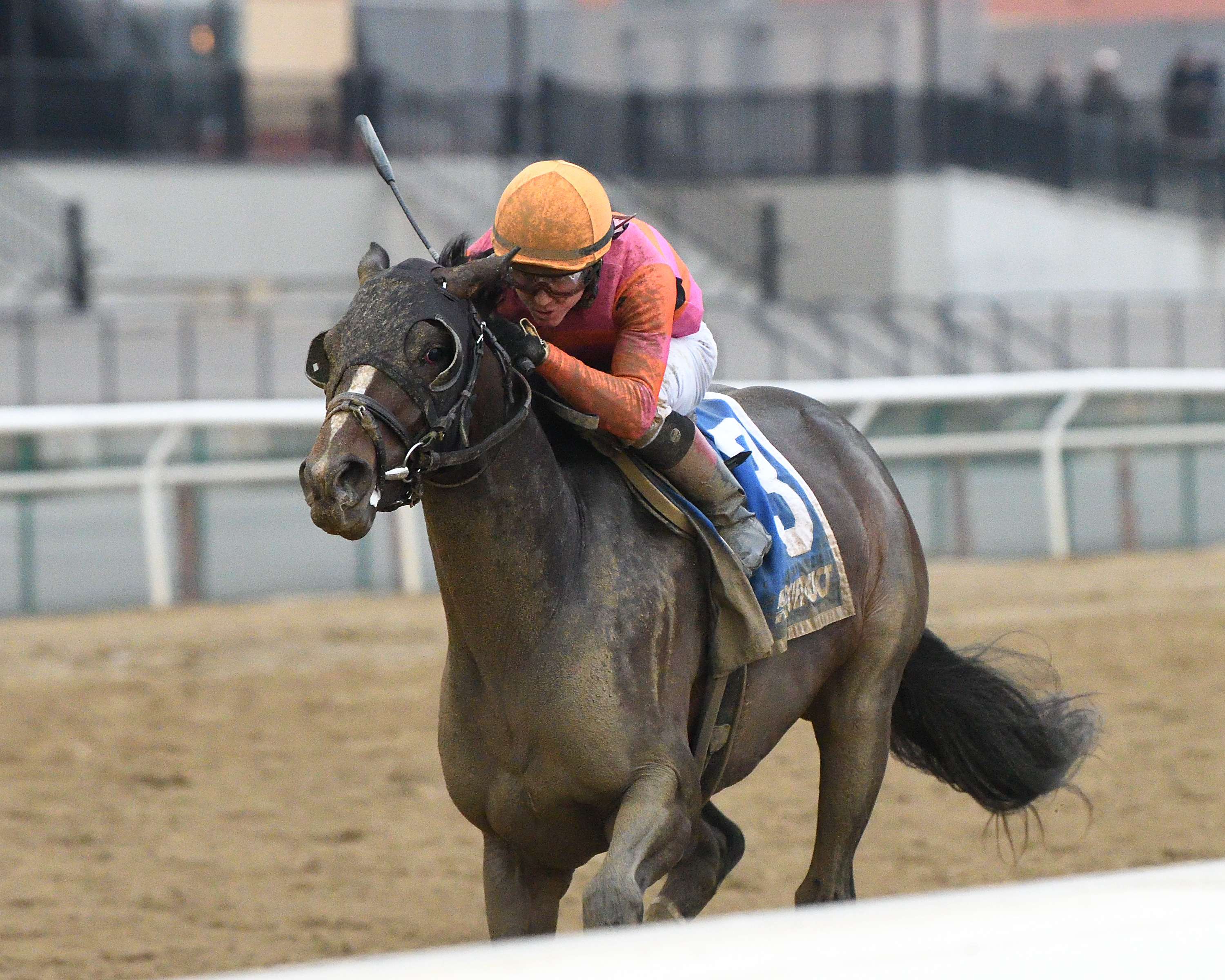 Max Player wins the 2020 Withers Stakes