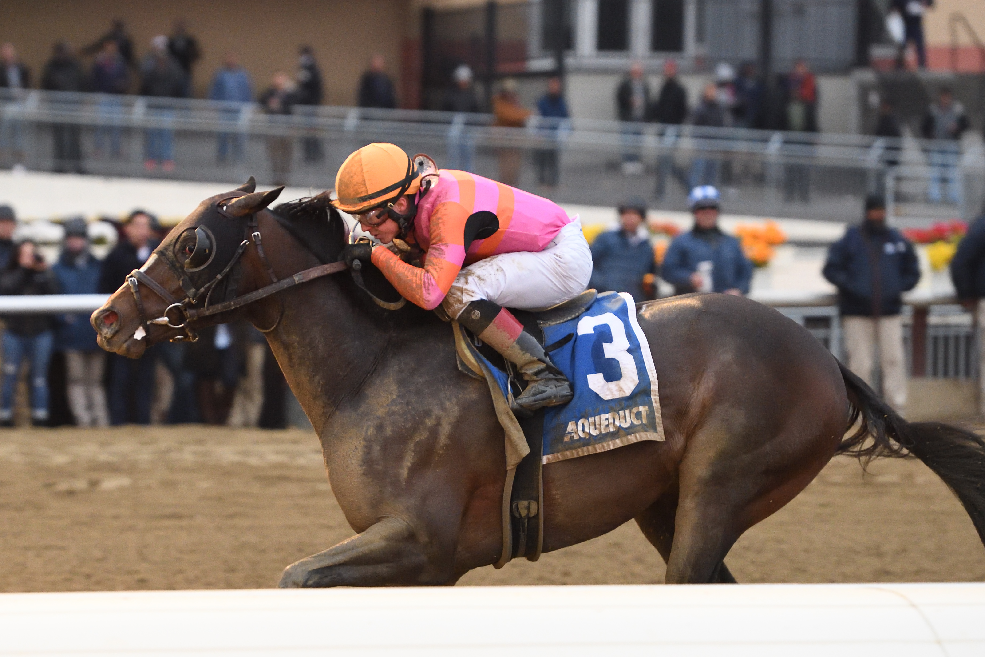 Max Player wins the 2020 Withers Stakes