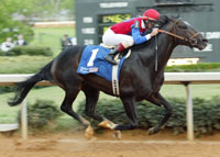 Medaglia d'Oro