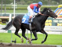 Medaglia d'Oro