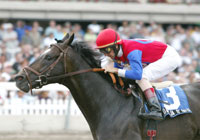 Medaglia d'Oro