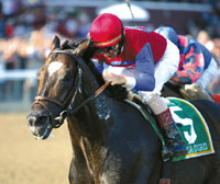 Medaglia d'Oro