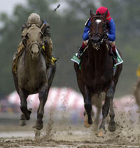 The Travers