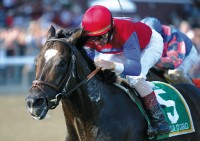 Medaglia d'Oro