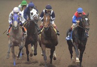 Medaglia d'Oro