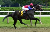 Medaglia d'Oro