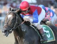 Medaglia d'Oro
