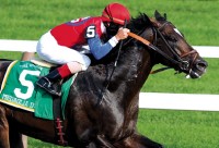 Medaglia d'Oro