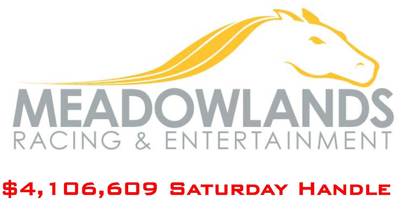 Meadowlands handle