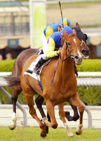 Megahertz