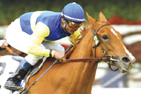 Megahertz